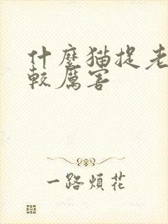 什么猫捉老鼠比较厉害