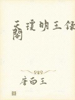 天琼明玉录笔趣阁