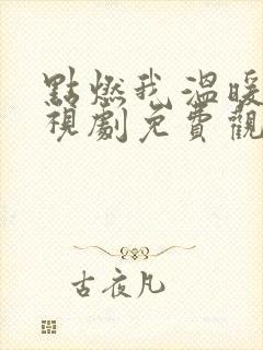 点燃我温暖你电视剧免费观看∞