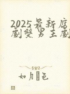 2025最新腐剧双男主剧