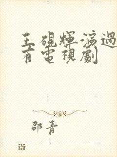 王砚辉演过的所有电视剧