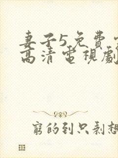 妻子5免费完整高清电视剧在线封面