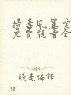 扫毒风暴完整版免费观看全集封面