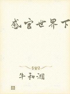 感官世界下载