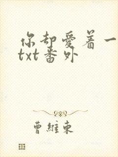 你却爱着一个他txt番外