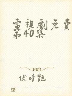 电视剧免费观看第40集