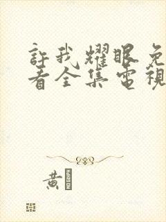 许我耀眼免费观看全集电视剧