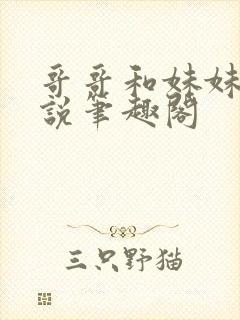 哥哥和妹妹的小说笔趣阁