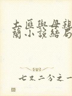 土匪与母亲王凤兰小说结局封面