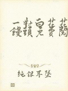 一对白花花的大馒头免费阅读