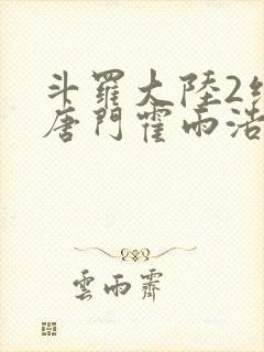 斗罗大陆2绝世唐门霍雨浩小说