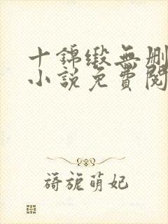 十锦缎无删原著小说免费阅读