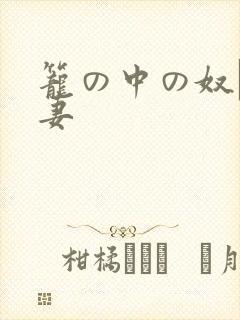 笼の中の奴隷人妻