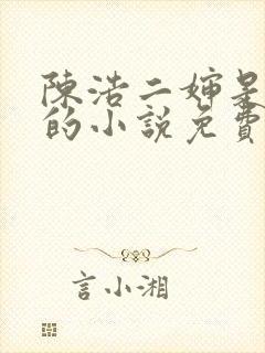 陈浩二婶是哑巴的小说免费阅读