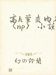 高h荤爽肉欲文〈np〉 小说