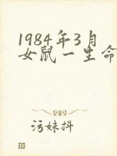 1984年3月女鼠一生命运