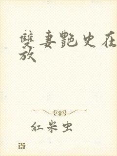 双妻艳史在线播放