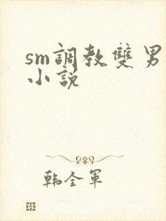 sm调教双男主小说