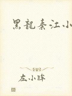 黑龙秦江小说