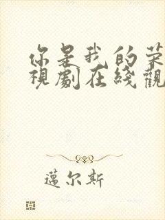 你是我的荣耀电视剧在线观看免费完整版