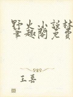 野火小说林晚晚笔趣阁免费阅读封面
