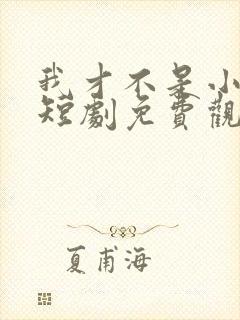 我才不是小可怜短剧免费观看全集