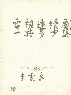 电视连续剧娘道一共多少集