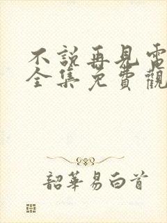 不说再见电视剧全集免费观看完整版封面