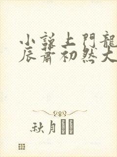 小说上门龙婿叶辰萧初然大结局