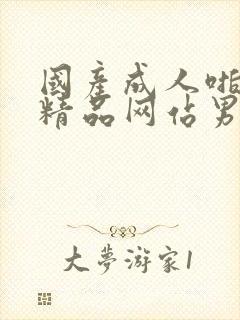 国产成人啪午夜精品网站男同