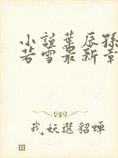 小说叶辰孙怡夏若雪最新章节阅读