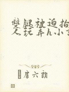 双腿被迫抬起任人玩弄h小说