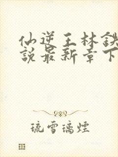 仙逆王林铁柱小说最新章下载