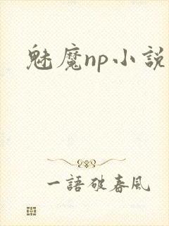 魅魔np小说
