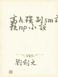 高h强制sm调教np小说