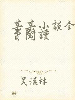 某某小说全文免费阅读