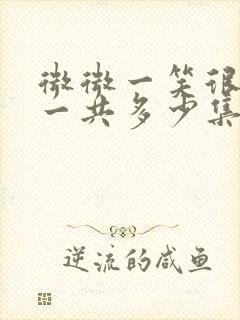 微微一笑很倾城一共多少集