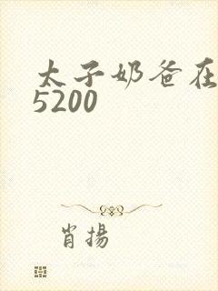 太子奶爸在花都5200