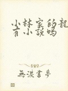小林家的龙女仆有小说吗封面