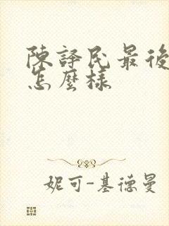 陈译民最后结局怎么样封面