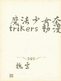 魔法少女奈叶strikers 动漫