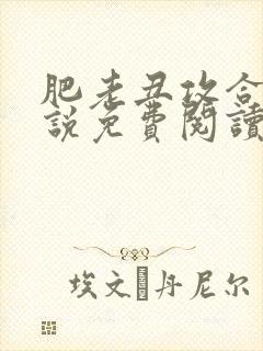 肥老丑攻合集小说免费阅读全文