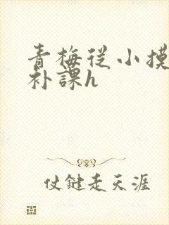 青梅从小摸到大补课h