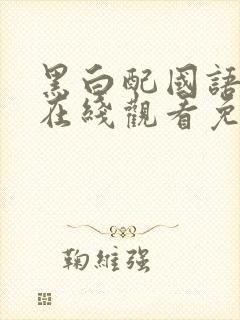 黑白配国语高清在线观看免费封面