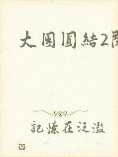 大团圆结2阅读封面