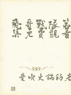 飞哥战队第49集免费观看