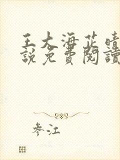 王大海芷晴的小说免费阅读