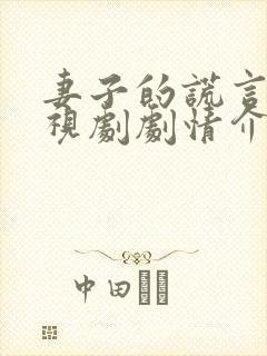 妻子的谎言 电视剧剧情介绍