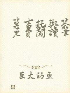 莫吉托与茶全文免费阅读笔趣阁