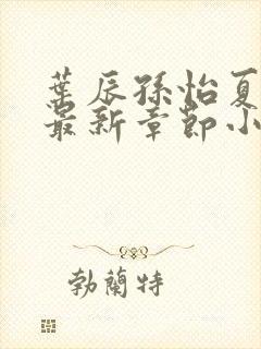 叶辰孙怡夏若雪最新章节小说